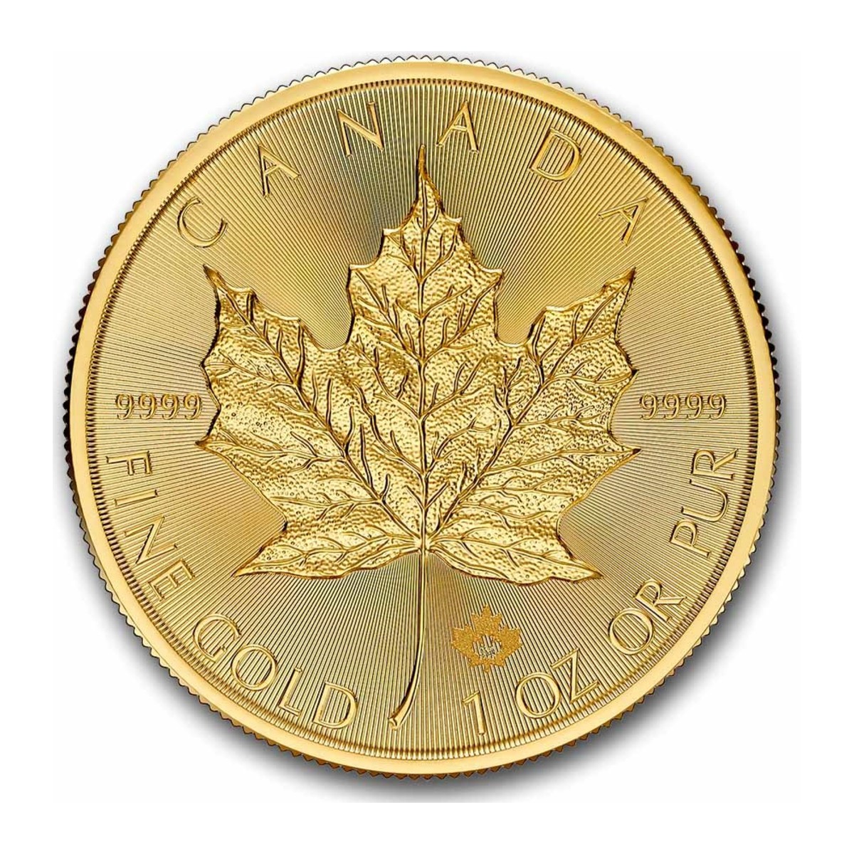 1 oz Maple Leaf Gold Coin | 2026